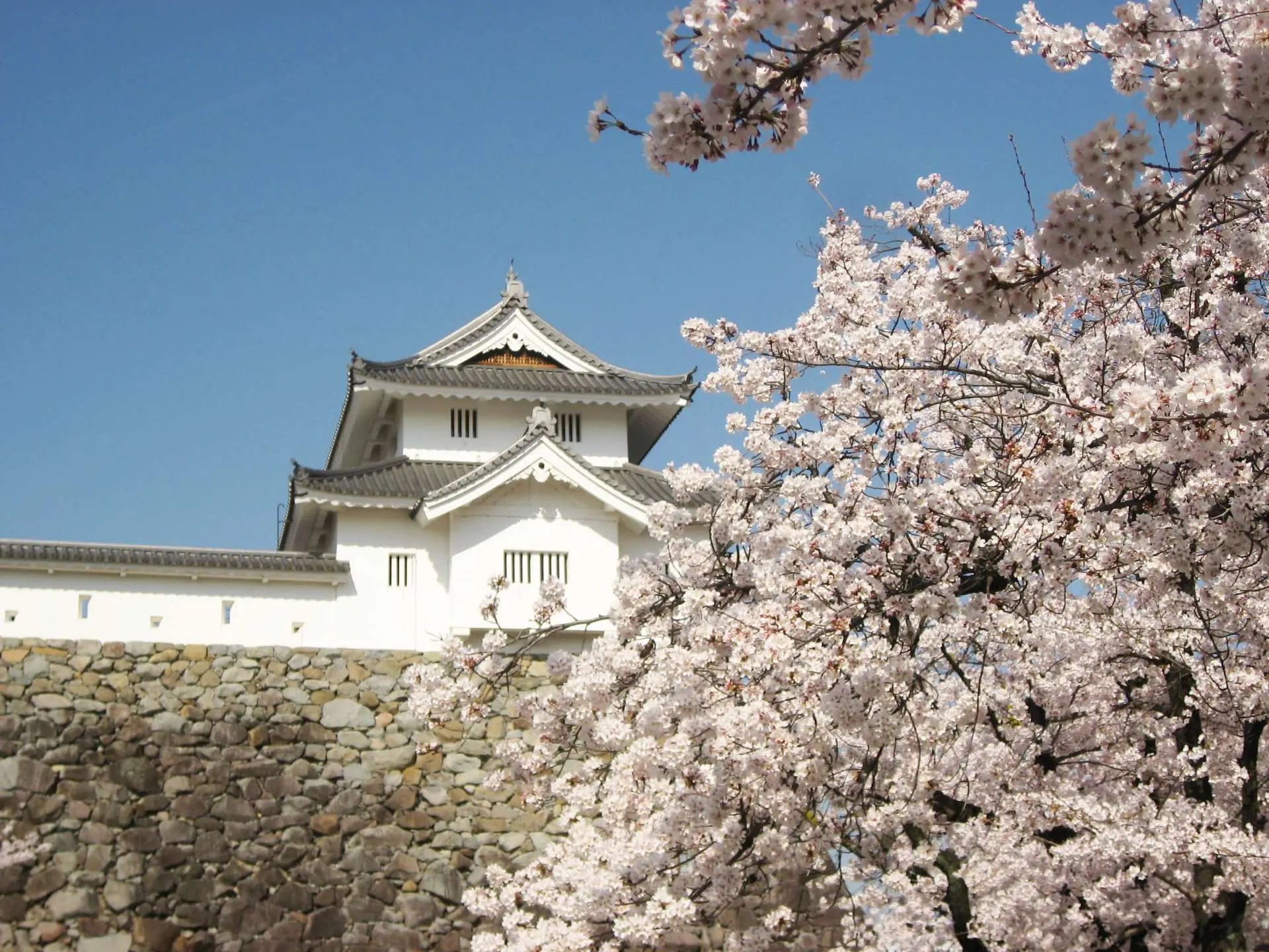 🏯 고후 성터 (마이즈루 성 공원) 이미지 1